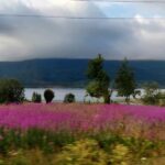 2023 Norway - Leines