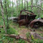 2023 Norway - Skoganvarre